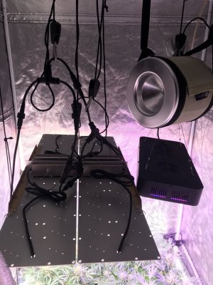 39C5BF20-CA03-4E58-AE6D-E4002956CA6E.jpeg