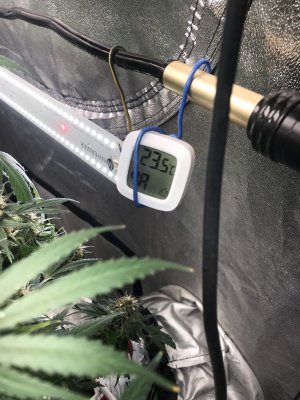 BF70E088-8ED8-4909-804A-F78D0A4F7CA5.jpeg