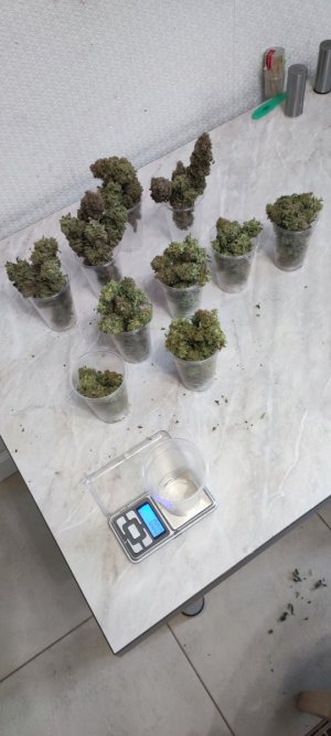 1000009944.jpg