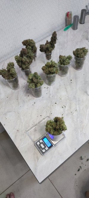 1000009946.jpg