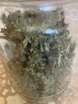 IMG_0719.jpeg