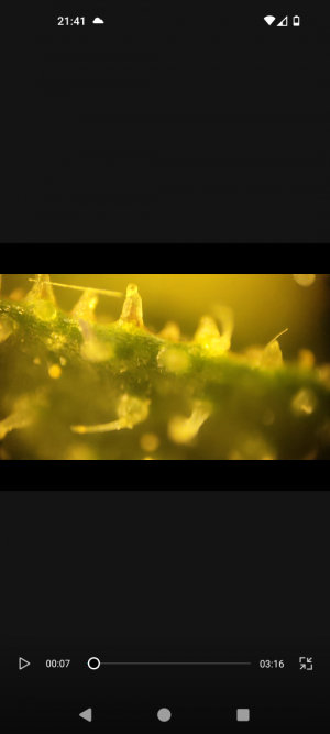 Screenshot_20240509-214138.png