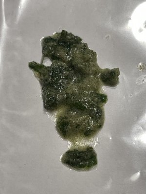 IMG_7787.jpeg