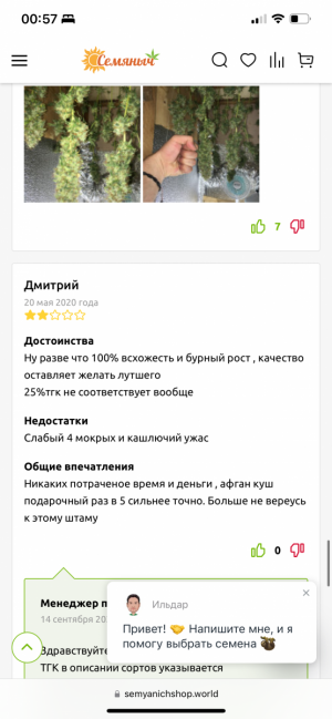 IMG_7941.png