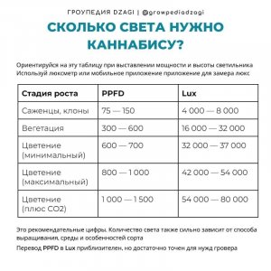 1000007833.jpg