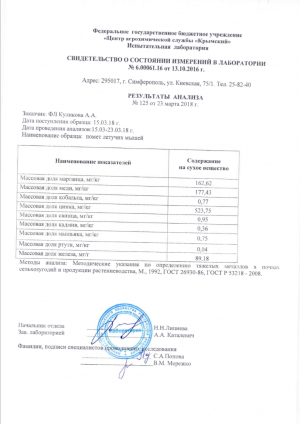 analiz-2-kopiya-3-png-1167042.png