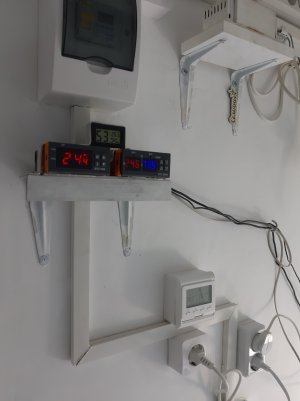 20220309_104645.jpg