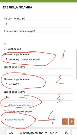 IMG_9077.jpeg