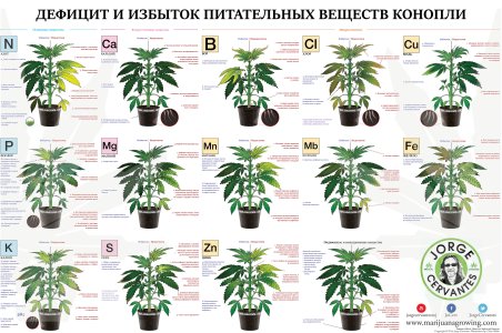 трабл.jpg