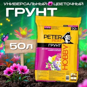 грунт.2.jpg грунт.2.jpg